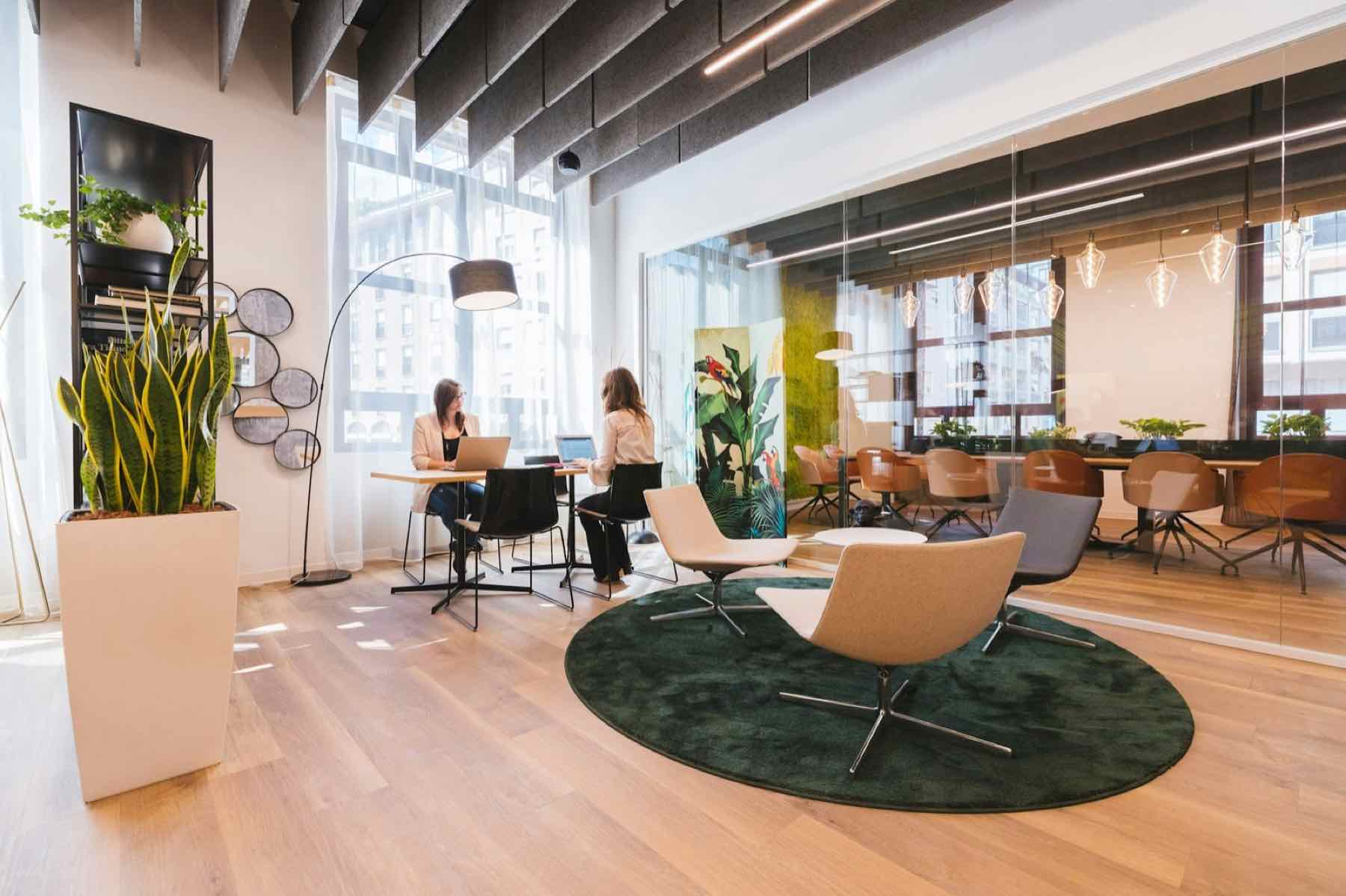 Calm, sunlit office lounge with plants